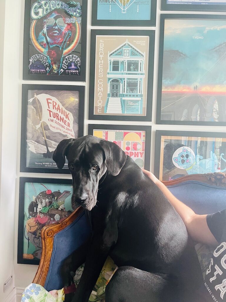 Winston will fit into the smallest spaces.