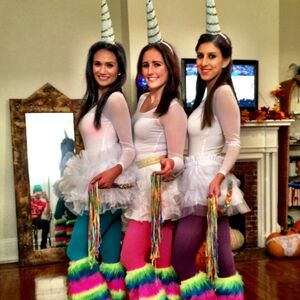 Gallery Photo 38