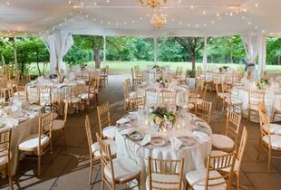Gold Tufted King Louis Chairs (Set of 2) - Wedding Supplies Orlando, Wedding Rental Party, Tent Rental Orlando