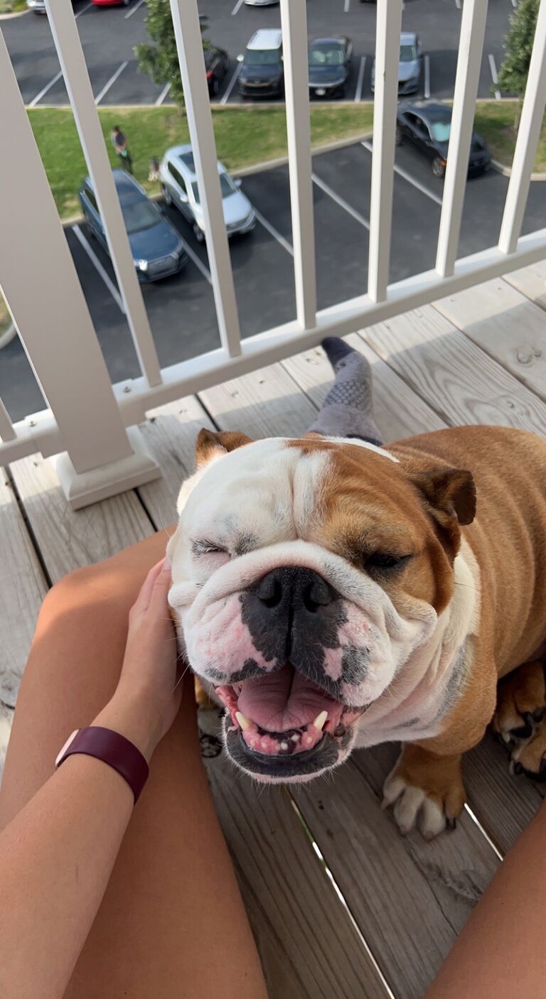 Tiffany and Travis rescued Ria from Wisconsin. 