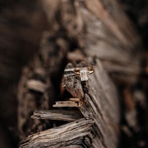 Gallery Photo 8