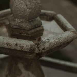 Gallery Photo 21