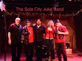 Sole City Juke Band - Cajun Band - Oak Lawn, IL - Hero Gallery 1