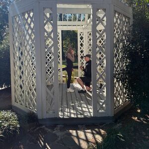 Gallery Photo 4