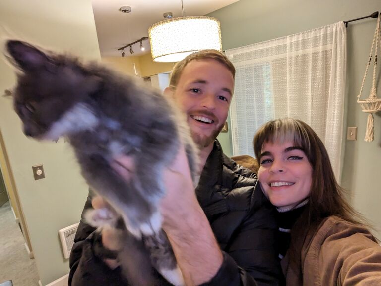 New place and a new kitten in Bellevue, WA