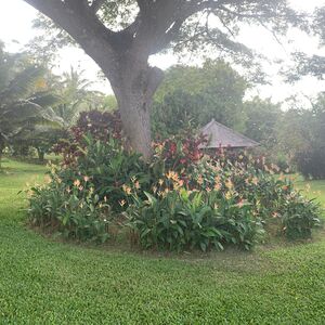 Gallery Photo 26