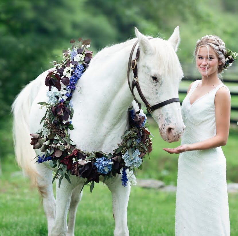Lucky Orphans Horse Rescue + Updated Prices - The Knot