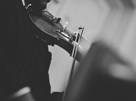 The String Smith - Violinist - Tampa, FL - Hero Gallery 1