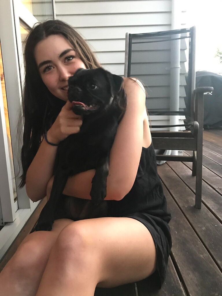 Our brother in law Mala introduces us to our first pug/griffon- we were instantly obsessed!