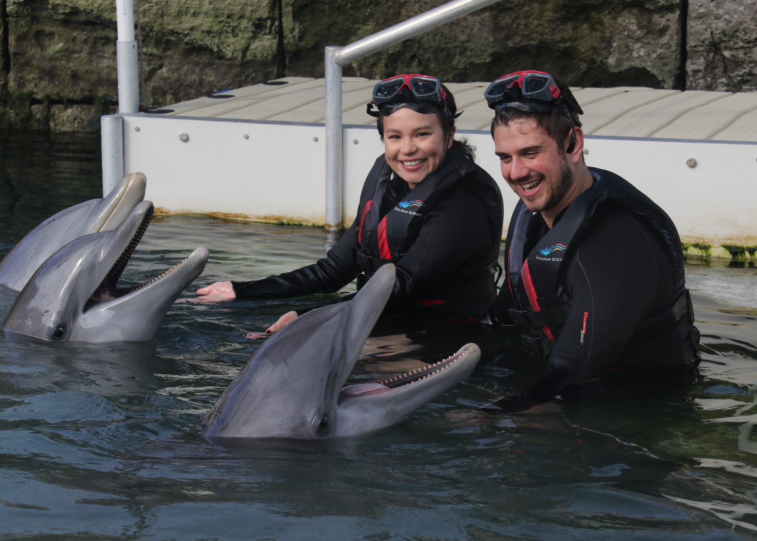 Dolphin Quest - Dockyard, Bermuda