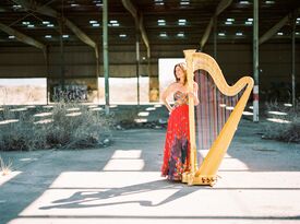Christine Vivona - Harpist - Tucson, AZ - Hero Gallery 4