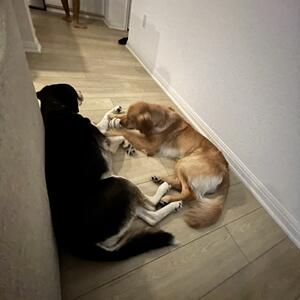 Gallery Photo 41