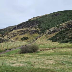 Gallery Photo 353