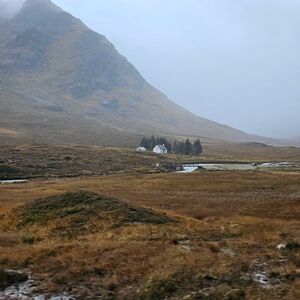 Gallery Photo 180