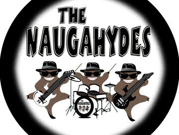 Naugahydes - Cover Band - Scottsdale, AZ - Hero Main