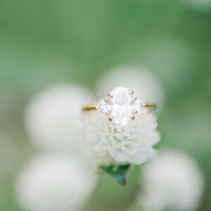 Gallery Photo 9