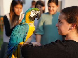 Linda The Parrot Lady - Animal For A Party - Delray Beach, FL - Hero Gallery 4