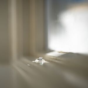 Gallery Photo 52