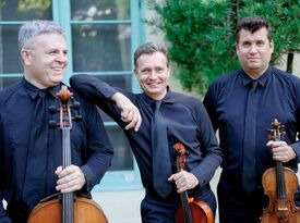 The Vanderbilt Strings - String Quartet - Naples, FL - Hero Gallery 3