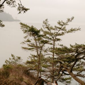 Gallery Photo 169