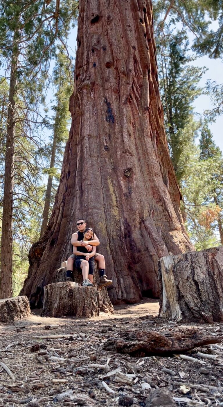 Trip to Sequoia.