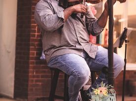 The String Smith - Violinist - Tampa, FL - Hero Gallery 2