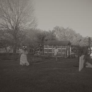 Gallery Photo 59