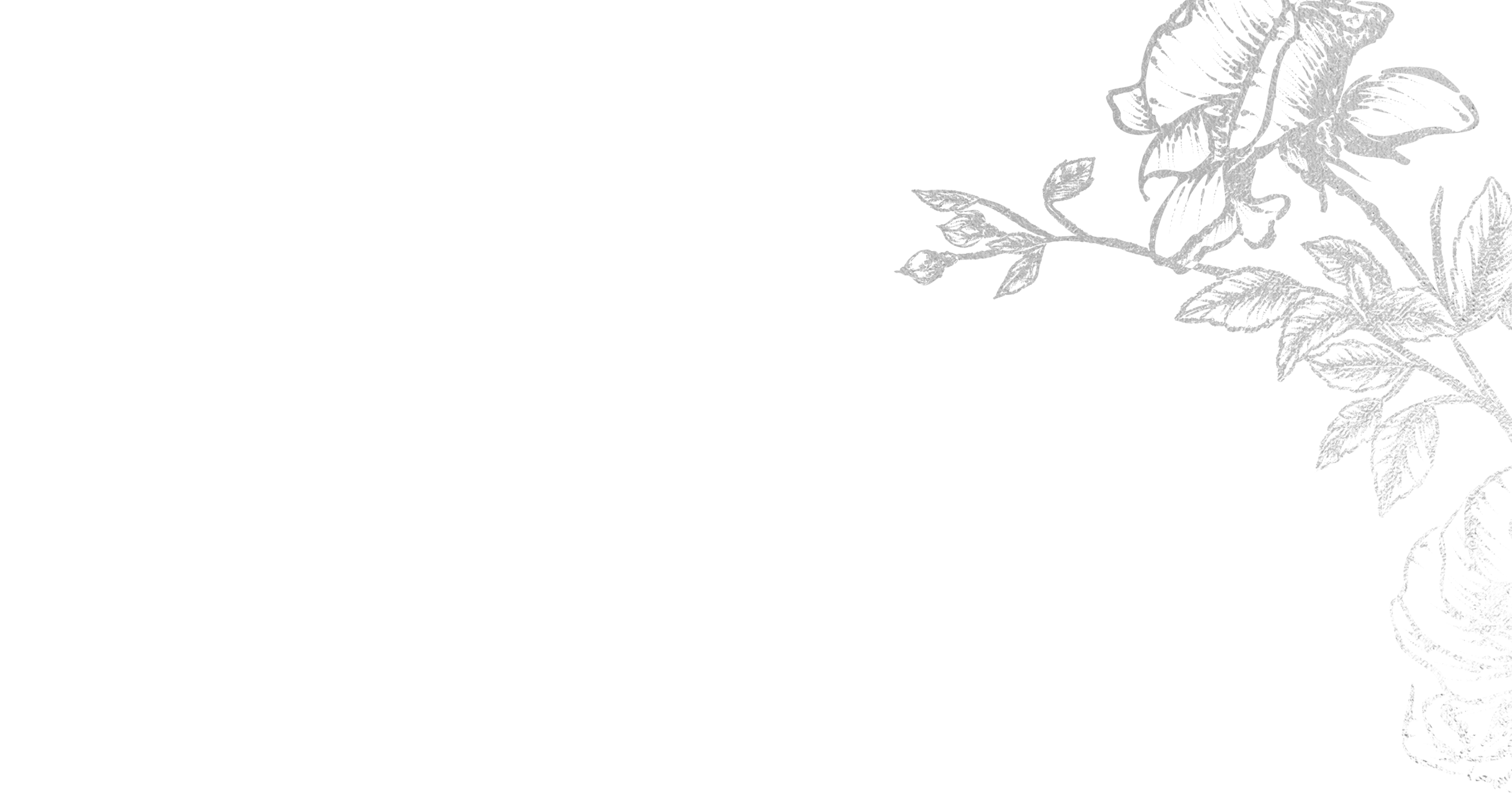 Top Theme Image