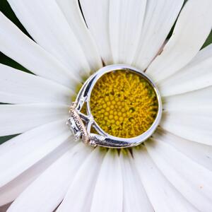 Gallery Photo 37