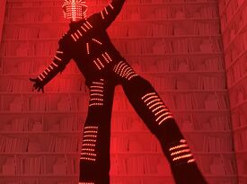 Extraordinary Arts - Acrobats, LED, Circus Acts - Stilt Walker - Boston, MA - Hero Gallery 2
