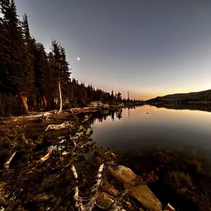 Gallery Photo 31