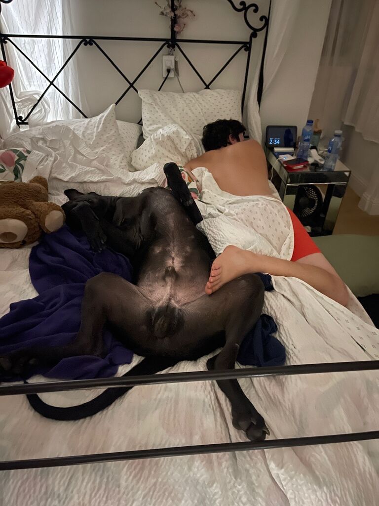 We sleep in a sprawled dog pile