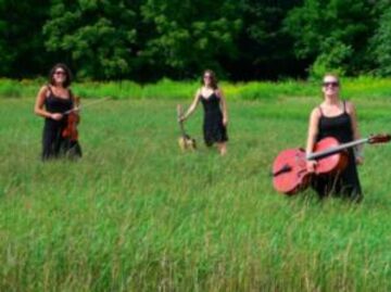 Daughters Of Newgrass - Celtic Band - Ann Arbor, MI - Hero Main