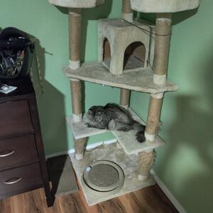 Gallery Photo 18