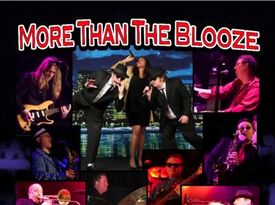 Blooze Brothers Band - Blues Brothers Tribute Band - Chicago, IL - Hero Gallery 2