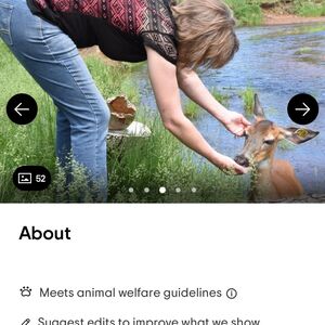 Gallery Photo 16