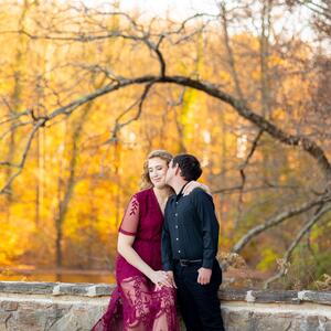 Gallery Photo 43