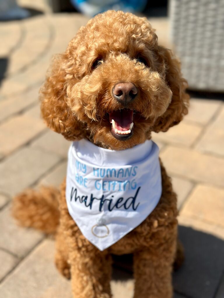 rusty's parents are getting married!