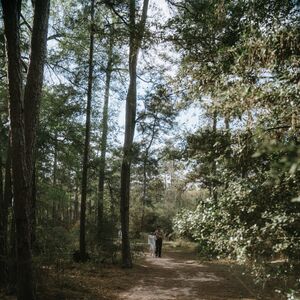 Gallery Photo 19