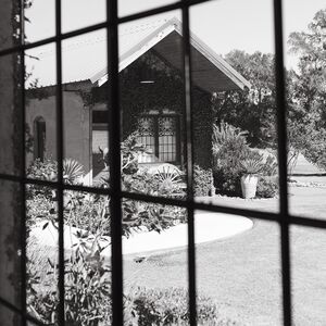 Gallery Photo 17