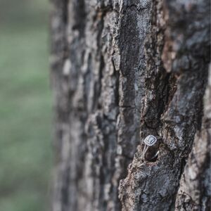 Gallery Photo 23