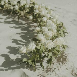 Gallery Photo 65