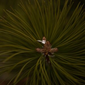 Gallery Photo 20