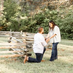 Gallery Photo 36