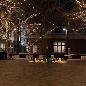 Gallery Photo 24