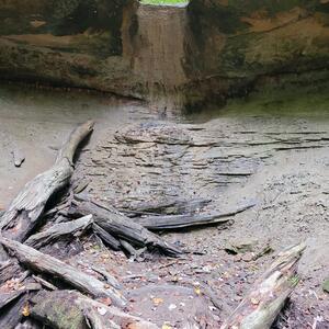 Gallery Photo 5