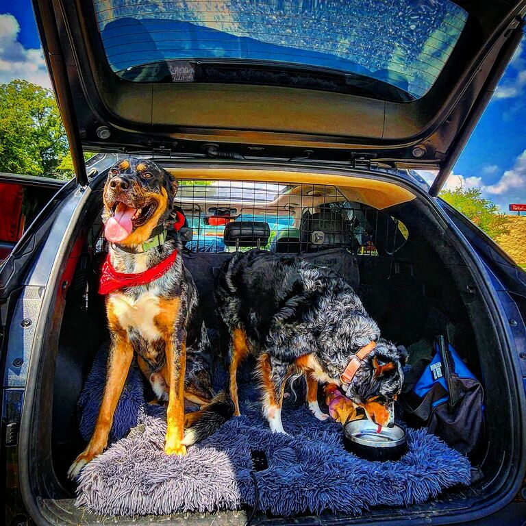 Road Trip To Long Island