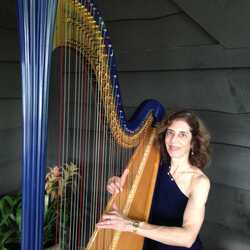 Harp Music By Lisa Handman (harpnotes), profile image