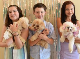 Star Poodlez - Animal For A Party - Los Angeles, CA - Hero Gallery 3