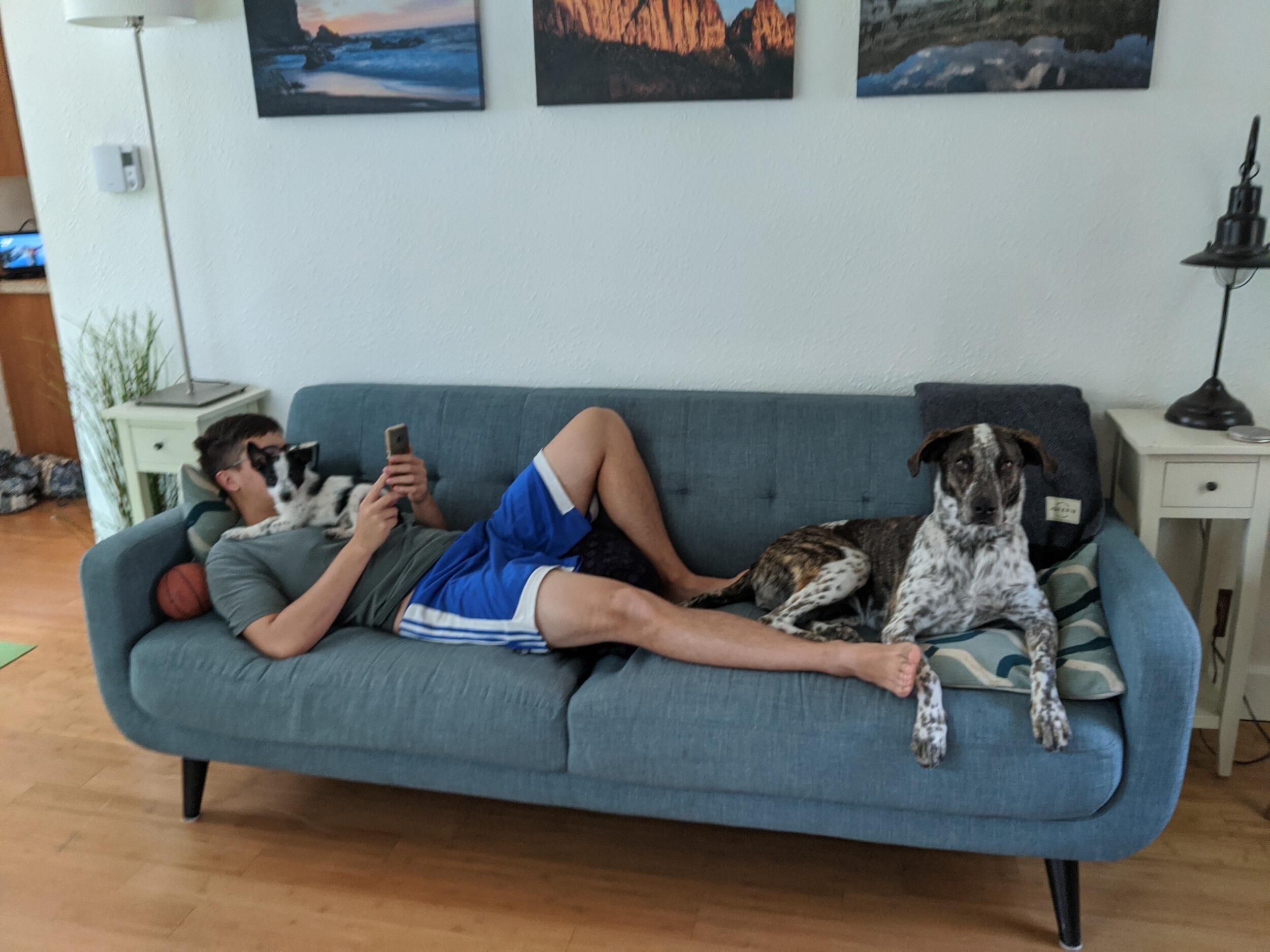 After school, they spent some time with family in Reno and Colorado before they moved back up to Portland to start their new lives! They rented their first house together without roommates and settled into remote work with two dogs during all the nuttiness of 2020.